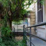 Prima di lasciare l�edificio andiamo a visitare il suo raro e prezioso giardino, che in realt� dopo anni di incuria � diventato quasi una piccola foresta